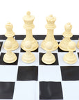 20cm Mini Garden chess set | schools