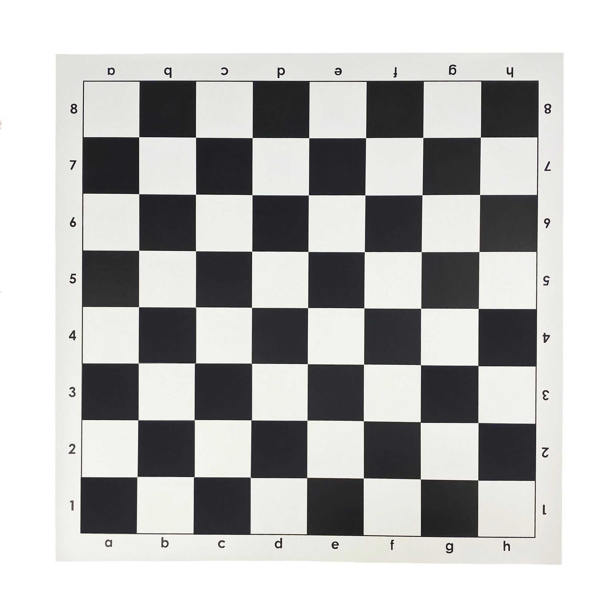 VINYL | Roll-Up | Large