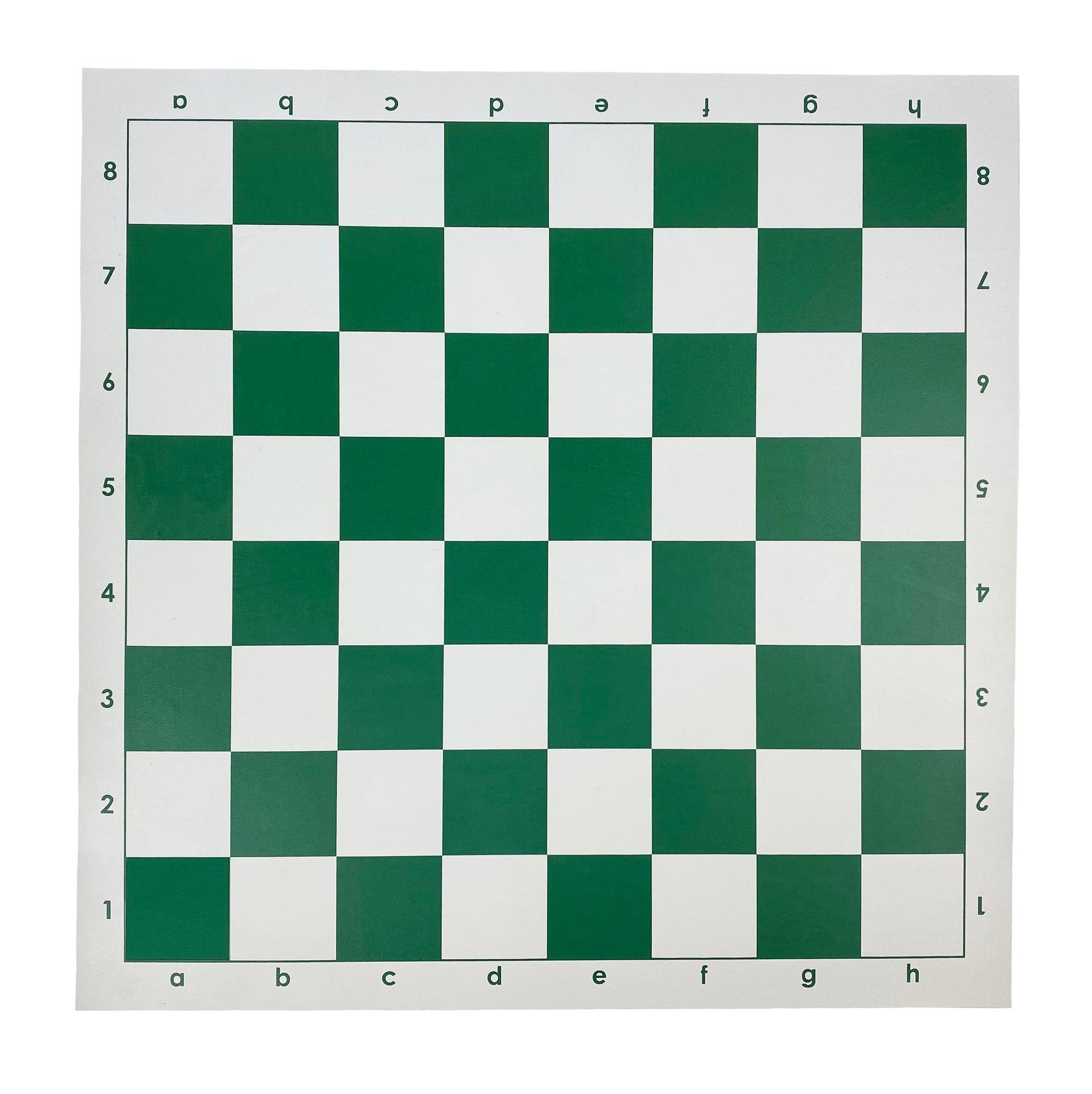 VINYL | Roll-Up | Large