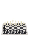 Vinyl Roll-Up Tournament Set |  50 mm Squares